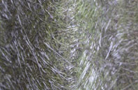 Swordale fibreglass roof work